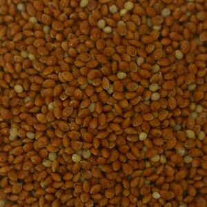 Braunhirse - 1kg